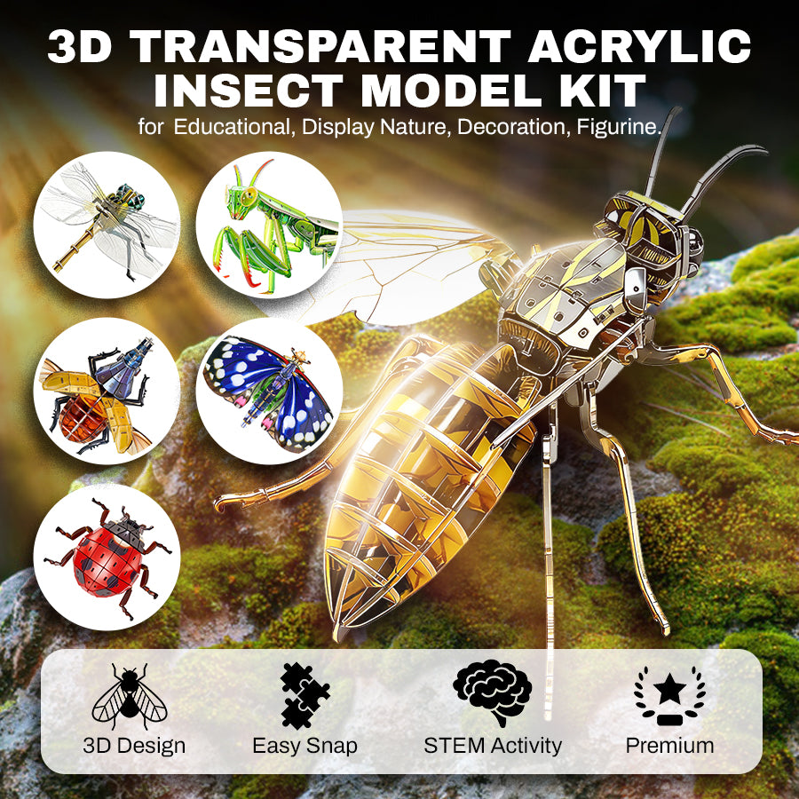 3D Transparent Acrylic Insect Model Kit