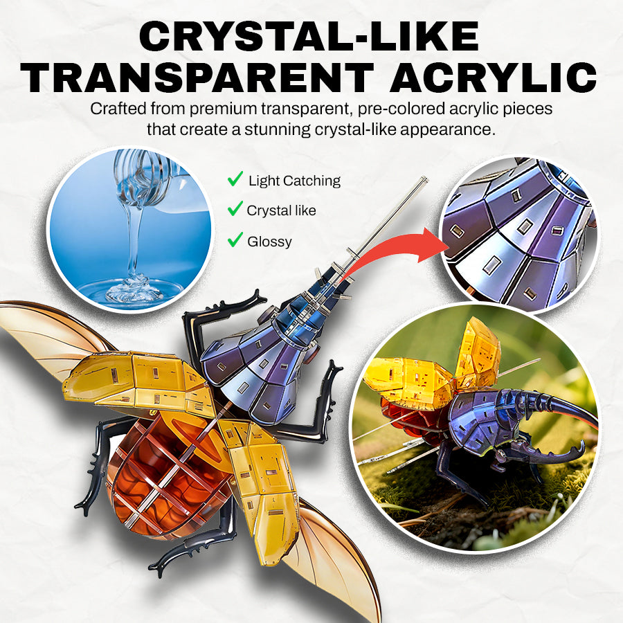 3D Transparent Acrylic Insect Model Kit