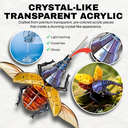 3D Transparent Acrylic Insect Model Kit