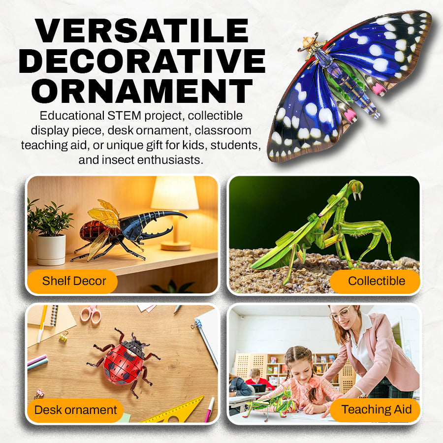 3D Transparent Acrylic Insect Model Kit