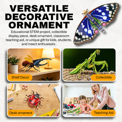 3D Transparent Acrylic Insect Model Kit