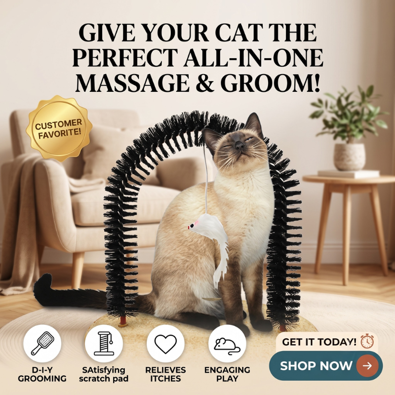 Cat Arch Scratcher