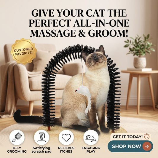 Cat Arch Scratcher
