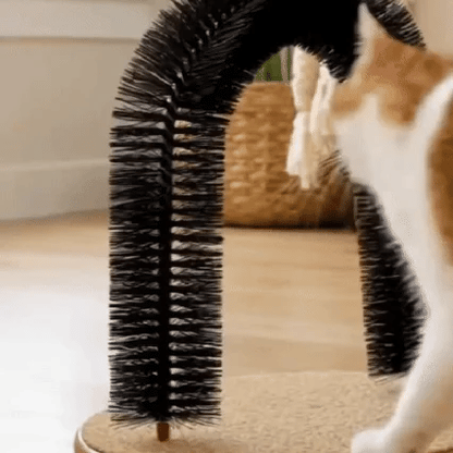 Cat Arch Scratcher